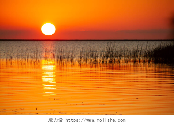 地平线上的太阳反射着湖水中的金色光芒.美丽的落日，地平线上的太阳反射着湖水中的金色光芒.